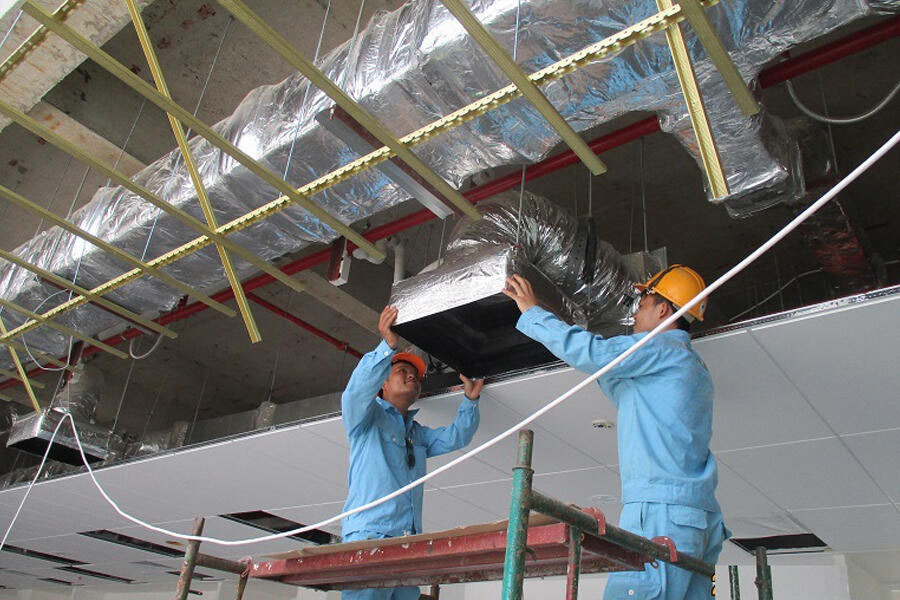 Hình ảnh hoạt động
